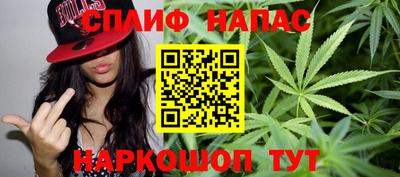 тгк Новокубанск