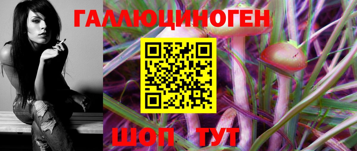 Урус-Мартан  Псилоцибиновые грибы GOLDEN TEACHER  Вход с VPN 
