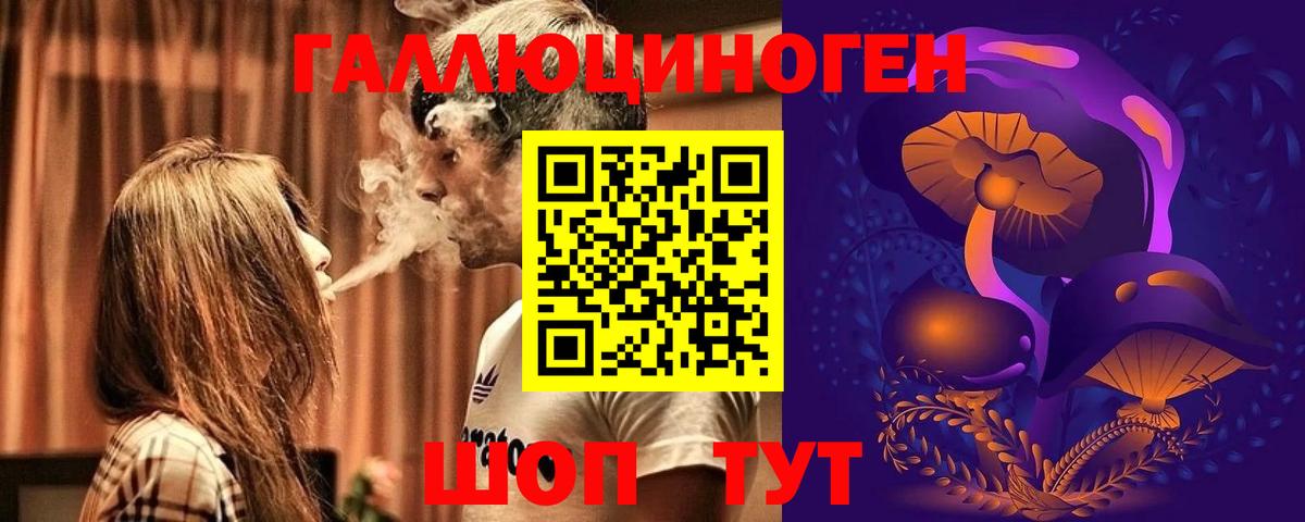 Галлюциногенные грибы Cubensis  Галлюциногенные грибы Psilocybine cubensis  Урус-Мартан 