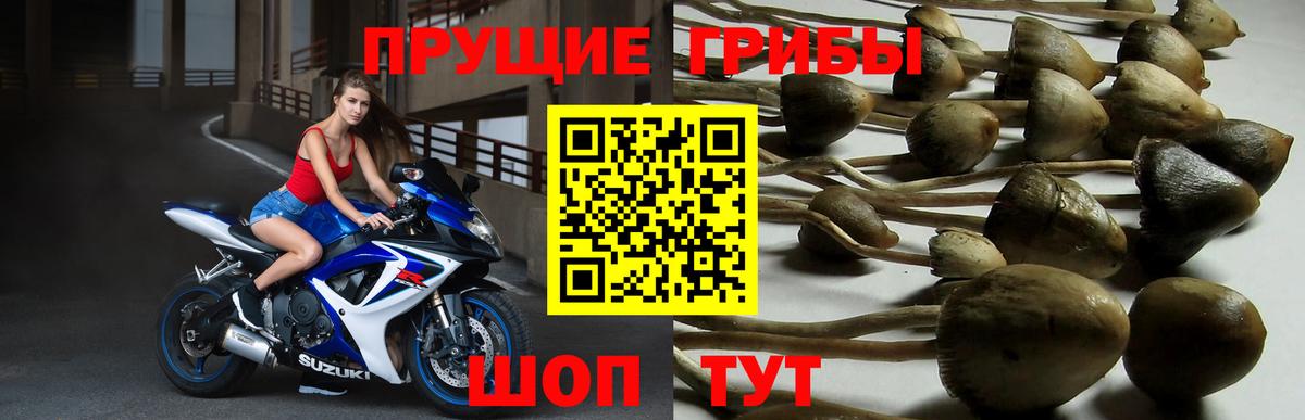 Псилоцибиновые грибы MAGIC MUSHROOMS Урус-Мартан